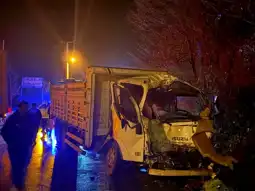 Akçakoca'da Kargo ve Kamyon Çarpıştı: 1 Ağır Yaralı