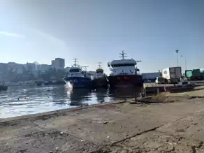 Akçakoca'da Hamsi Avı Rekolteyi Artırdı