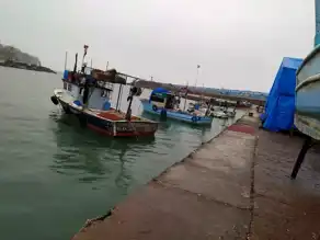 Akçakoca'da Fırtına: 4 Metrelik Dalgalar!