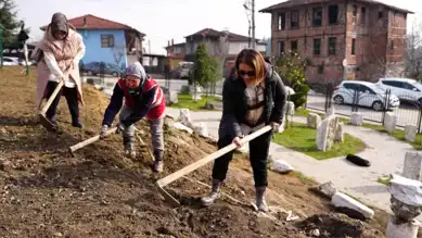Düzce Belediyesi, Antik Kent Kazısında