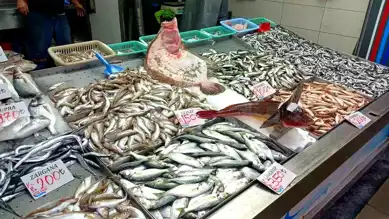 Akçakoca'da Balık Tezgahları Şenlendi! Fiyatlar Ne Kadar?