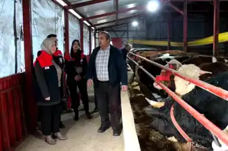 Düzce'de Başarılı Hayvancılık Projesi