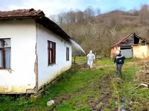 Düzce'de Kahverengi Kokarcayla Mücadele: 7850 Yapı İlaçlandı