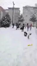 Düzce'de Kar Tatili: Çocuklar Karda Eğleniyor!
