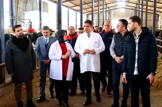 Düzce'de Manda Yetiştiriciliği Destekleniyor