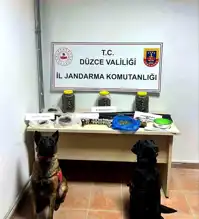 Düzce'de Uyuşturucu Operasyonu: 1 Gözaltı, Silahlar Ele Geçirildi