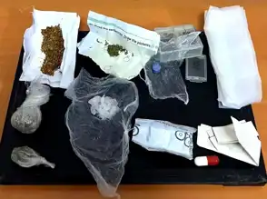 Düzce'de Uyuşturucu Operasyonu: 1 Tutuklama