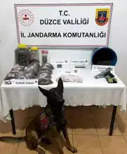 Düzce'de Büyük Esrar Operasyonu: Gözaltı ve El Konulanlar