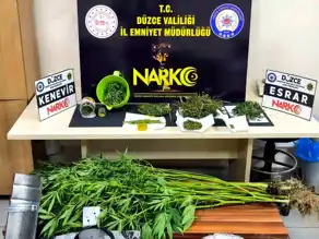 Düzce'de Uyuşturucu Operasyonu: 350 Gram Esrar ve Malzemeler Ele Geçirildi