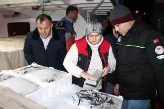 Akçakoca'da Hamsi Avı Denetimleri