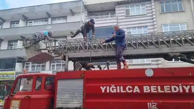 Apartman Terasında Mahsur Kalan Köpek Kurtarıldı