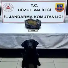 Düzce'de Uyuşturucu Operasyonu: Şüpheli Tutuklandı