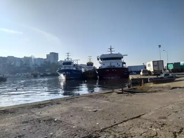Akçakoca'da Hamsi Avı Rekolteyi Artırdı
