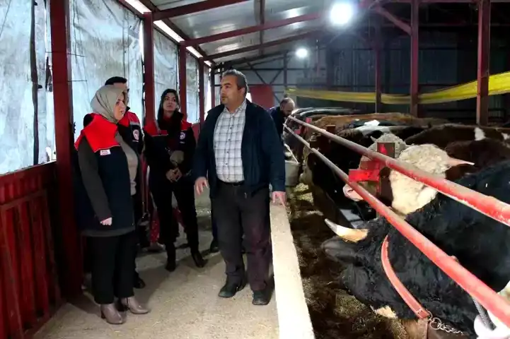 Düzce'de Başarılı Hayvancılık Projesi