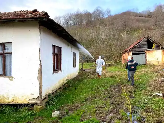 Düzce'de Kahverengi Kokarcayla Mücadele: 7850 Yapı İlaçlandı