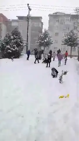 Düzce'de Kar Tatili: Çocuklar Karda Eğleniyor!