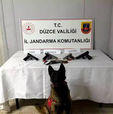Düzce'de 5 Ruhsatsız Silah Ele Geçirildi