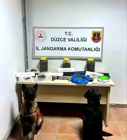 Düzce'de Uyuşturucu Operasyonu: 1 Gözaltı, Silahlar Ele Geçirildi