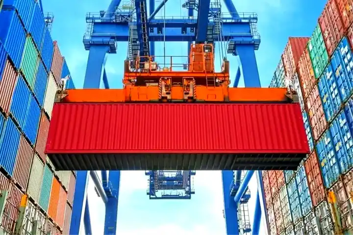 Düzce'den 13 Bin Ton Orman Ürünü İhracatı