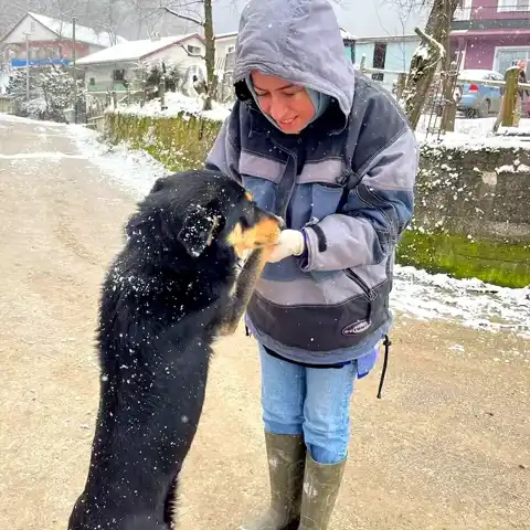 Yığılca'da Hayvan Dostlarına Aşı ve Kimliklendirme Kampanyası